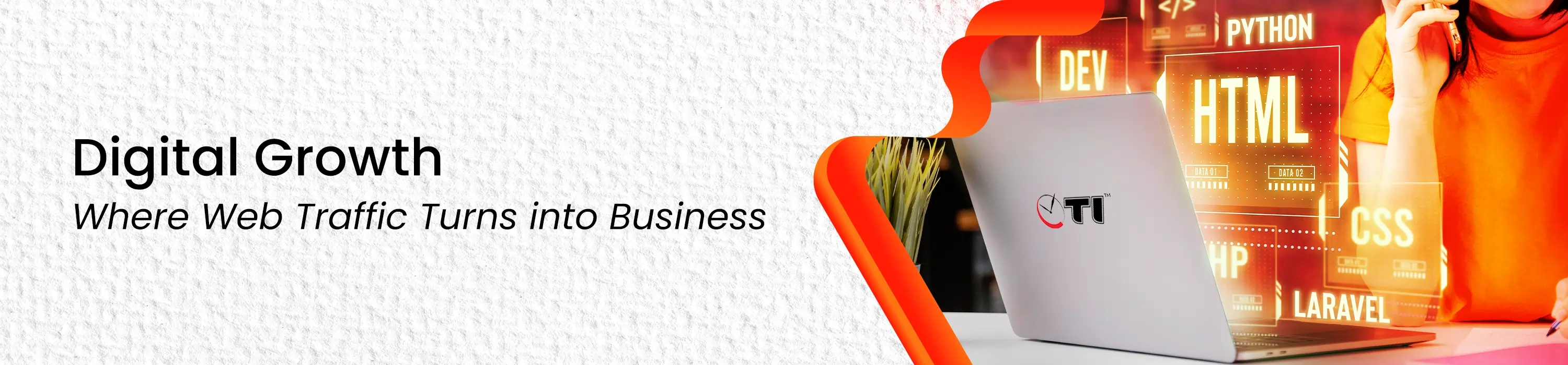 Website Development Services